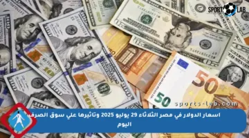 أسعار الدولار في مصر الثلاثاء 29 يوليو 2025 وتأثيرها على سوق الصرف اليوم